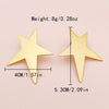 Stainless Steel 14K Gold Plated XINGX Earrings